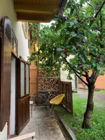 Charmant Appartement Sur Cour, Le Cerisier Баньер-де-Бигор Экстерьер фото