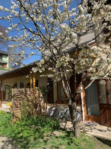 Charmant Appartement Sur Cour, Le Cerisier Баньер-де-Бигор Экстерьер фото